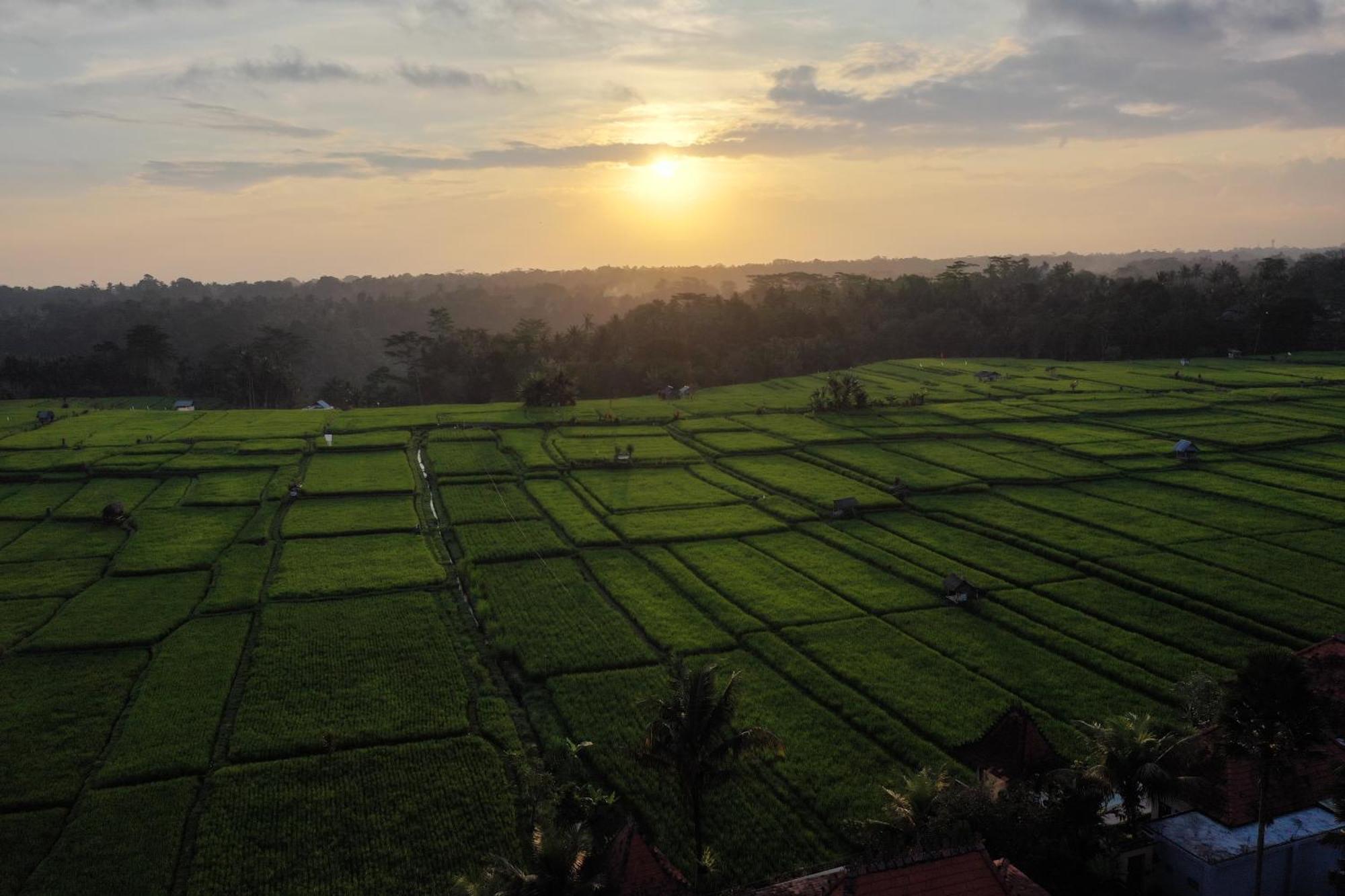乌布Umah Sunset别墅 外观 照片